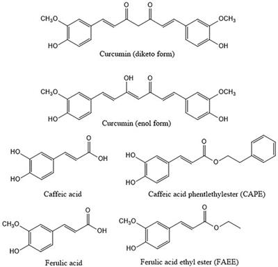 Curcumin and Related Compounds in Cancer Cells: New Avenues for Old Molecules